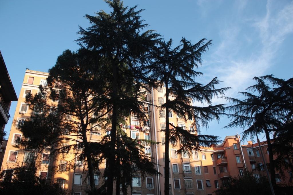 Sweet Dreams In St Peter B&B Rome Bagian luar foto
